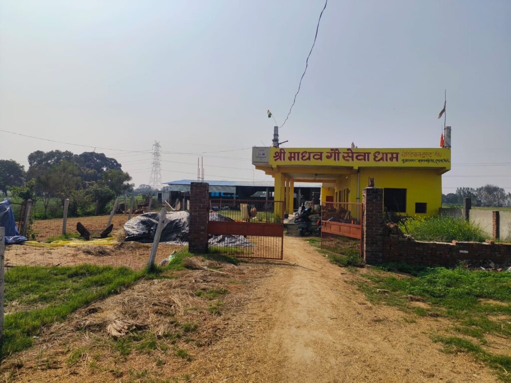 whatsapp image 2026 03 11 at 11.43.00 am