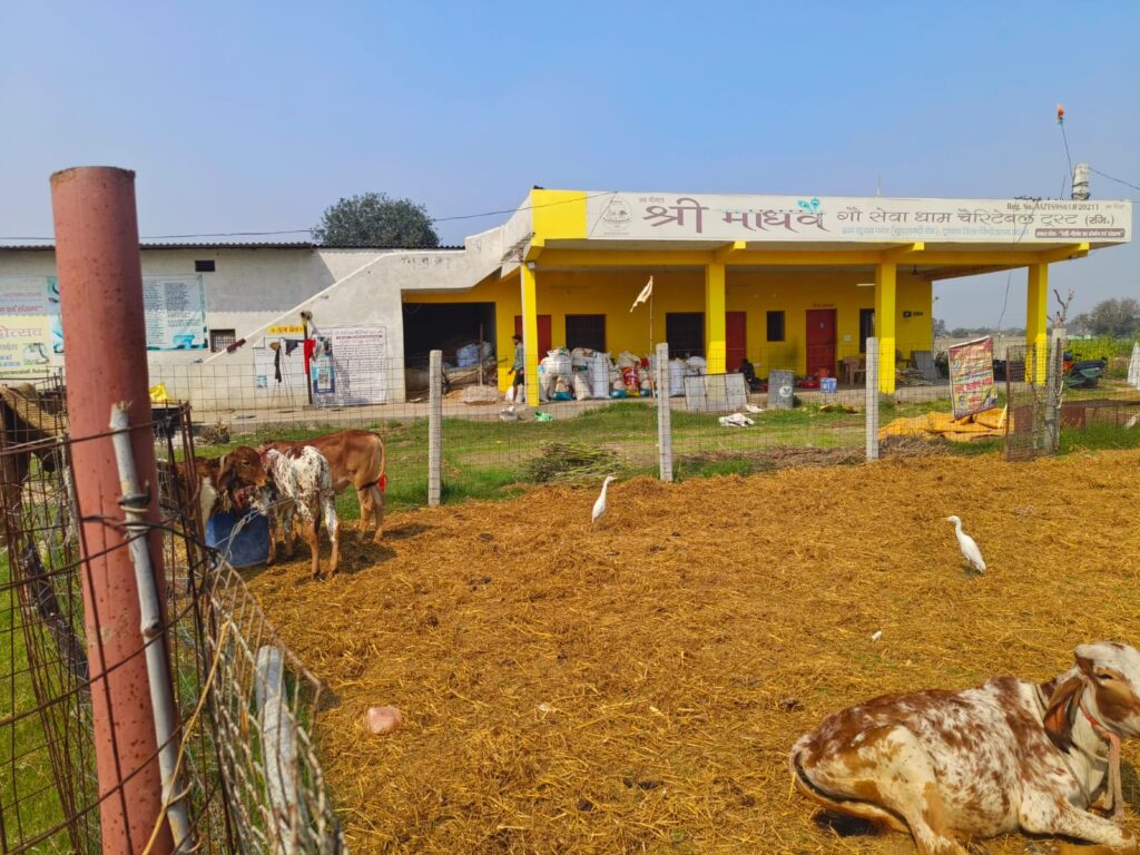 whatsapp image 2026 03 11 at 11.43.01 am (1)